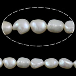 Barock odlad sötvattenspärla pärlor, Freshwater Pearl, vit, Grade AA, 9-10mm, Hål:Ca 0.8mm, Såld Per 15.5 inch Strand