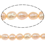 Baroko Kultūringas gėlavandenių perlų karoliukai, Gėlo vandens perlų, rožinis, Įvertinimas A., 8-9mm, Skylė:Apytiksliai 0.8mm, Parduota už 15.5 Inch Strand