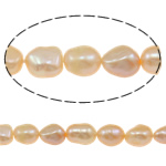 Baroko Kultūringas gėlavandenių perlų karoliukai, Gėlo vandens perlų, rožinis, Įvertinimas, 7-8mm, Skylė:Apytiksliai 0.8mm, Parduota už 15 Inch Strand