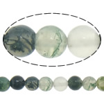 Natürliche Moos Achat Perlen, rund, 4mm, Bohrung:ca. 0.8-1mm, Länge ca. 15 ZollInch, 10SträngeStrang/Menge, verkauft von Menge