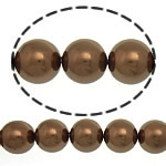 South Sea Shell Beads Round coffee color 12mm Approx 0.5mm Sold Per 16 Inch Strand
