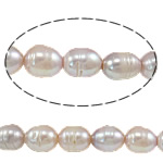 Cultured Rice Freshwater Pearl Beads purple Grade A 11-12mm Approx 2.5mm Sold Per 15 Inch Strand