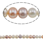 Runda odlad sötvattenspärla pärlor, Freshwater Pearl, blandade färger, Grade AA, 3-9mm, Hål:Ca 0.8mm, Såld Per Ca 15.5 inch Strand