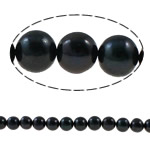 Apvalūs Kultūringas gėlavandenių perlų karoliukai, Gėlo vandens perlų, Turas, natūralus, juodas, Įvertinimas, 8-9mm, Skylė:Apytiksliai 0.8mm, Parduota už Apytiksliai 15 Inch Strand