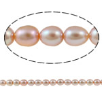 Cultured Rice Freshwater Pearl Beads, natural, pink, Grade A, 6-7mm, Hole:Approx 0.8mm, Sold Per 15 Inch Strand