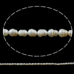 Cultured Rice Freshwater Pearl Beads, natural, white, Grade A, 3-4mm, Hole:Approx 1mm, Sold Per Approx 14 Inch Strand
