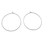 Stainless Steel Hoop Earring Component 316 Stainless Steel Donut 30mm 0.7mm Inner Approx undefinedmm 500/
