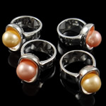 Shell Finger Rings Brass with South Sea Shell silver color plated mixed nickel lead & cadmium free US Ring .5 Sold By Bag