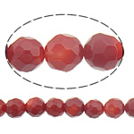 Natural Coral Beads Round faceted red 7mm Approx 0.5mm Length Approx 16 Inch Approx Sold By Lot