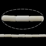 Natural Coral Beads Tube white Approx 0.5mm Length Approx 16 Inch Approx Sold By Lot