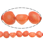 Natural Coral Beads Nuggets orange Approx 0.5mm Length Approx 16 Inch Approx Sold By Lot