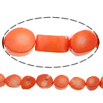 Natural Coral Beads Drum reddish orange 10-13x12-15mm Approx 1mm Length Approx 17 Inch Approx Sold By Lot