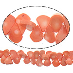 Perles en corail naturel, larme, orange rougeâtre, 20x11x5mm, Trou:Environ 0.5mm, Longueur Environ 16 pouce, 10Strandstoron/lot, Environ 76PC/brin, Vendu par lot