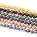 Bulvių išauginti gėlavandenių perlų karoliukai, Gėlo vandens perlų, Bulvė, mišrios spalvos, 5-6mm, Skylė:Apytiksliai 0.8mm, Ilgis Apytiksliai 16.5 Inch, 50Vijos/Krepšys, Pardavė Krepšys