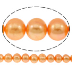 Bulvių išauginti gėlavandenių perlų karoliukai, Gėlo vandens perlų, Bulvė, oranžinis, 10-11mm, Skylė:Apytiksliai 0.8mm, Parduota už Apytiksliai 14.5 Inch Strand