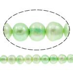 Bulvių išauginti gėlavandenių perlų karoliukai, Gėlo vandens perlų, Bulvė, šviesiai žalia, 10-11mm, Skylė:Apytiksliai 0.8mm, Parduota už Apytiksliai 14.5 Inch Strand