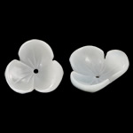 Perles en coquillage blanc naturel, coquille blanche, fleur, gravé, protéger l'environnement, sans nickel, plomb et cadmium, 12x12x4.20mm, Trou:Environ 0.8mm, 50PC/sac, Vendu par sac