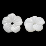 Naturalne białe koraliki z muszli, Muszla biała, Kwiat, Rzeźbione, bez zawartości niklu, ołowiu i kadmu, 8x8x1.80mm, otwór:około 0.5mm, 50komputery/torba, sprzedane przez torba