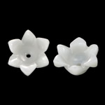 Miçangas de conchas Naturais Brancas, concha branca, Flor, esculpidas, níquel, chumbo e cádmio livre, 9x9x5mm, Buraco:Aprox 0.8mm, 50PCs/Bag, vendido por Bag