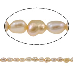 Keishi kultivované sladkovodní perle, Sladkovodní Pearl, přírodní, růžový, Grade, 4-5mm, Otvor:Cca 0.8mm, Prodáno za Cca 15 inch Strand