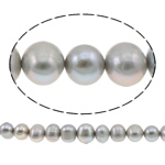 Brambor pěstované sladkovodní perle, Sladkovodní Pearl, šedá, 10-11mm, Otvor:Cca 0.8mm, Prodáno za Cca 14.5 inch Strand