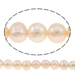 Brambor pěstované sladkovodní perle, Sladkovodní Pearl, přírodní, růžový, 10-11mm, Otvor:Cca 0.8mm, Prodáno za Cca 14.5 inch Strand