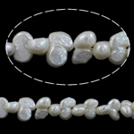 Perla Barroca Freshwater, Perlas cultivadas de agua dulce, Barroco, natural, Blanco, 10-11mm, agujero:aproximado 0.8mm, Vendido para 15.7 Inch Sarta