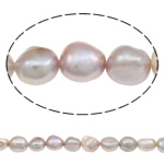 Baroko Kultūringas gėlavandenių perlų karoliukai, Gėlo vandens perlų, Barokas, natūralus, šviesiai violetinės, 11-12mm, Skylė:Apytiksliai 0.8mm, Parduota už 16.1 Inch Strand