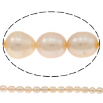 Riso coltivato in perla d'acqua dolce, perla d'acquadolce coltivata naturalmente, rosa, Grade AA, 10-11mm, Foro:Appross. 0.8mm, Venduto per 15.7 pollice filo