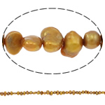 Baroko Kultūringas gėlavandenių perlų karoliukai, Gėlo vandens perlų, geltonas, 3-4mm, Skylė:Apytiksliai 0.8mm, Parduota už 14.5 Inch Strand