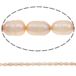 Riso coltivato in perla d'acqua dolce, perla d'acquadolce coltivata naturalmente, rosa, grado A, 8-9mm, Foro:Appross. 0.8mm, Venduto per 14.5 pollice filo