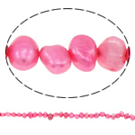 Baroko Kultūringas gėlavandenių perlų karoliukai, Gėlo vandens perlų, rožinis, 6-7mm, Skylė:Apytiksliai 0.8mm, Parduota už 14.5 Inch Strand