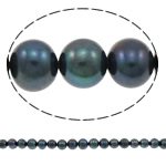 Brambor pěstované sladkovodní perle, Sladkovodní Pearl, modrá černá, 10-11mm, Otvor:Cca 0.8mm, Prodáno za Cca 14.5 inch Strand