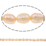 Barokní kultivované sladkovodní perle, Sladkovodní Pearl, Rýže, přírodní, růžový, Grade AA, 9-10mm, Otvor:Cca 0.8mm, Prodáno za 15 inch Strand