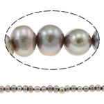 Bulvių išauginti gėlavandenių perlų karoliukai, Gėlo vandens perlų, Bulvė, pilkas, 6-7mm, Skylė:Apytiksliai 0.8mm, Parduota už Apytiksliai 14 Inch Strand