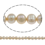 Brambor pěstované sladkovodní perle, Sladkovodní Pearl, přírodní, růžový, 8-9mm, Otvor:Cca 0.8-1mm, Prodáno za Cca 15 inch Strand