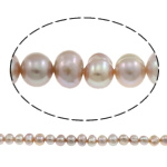 Bulvių išauginti gėlavandenių perlų karoliukai, Gėlo vandens perlų, Bulvė, natūralus, purpurinis, 5-6mm, Skylė:Apytiksliai 0.8mm, Parduota už 14.5 Inch Strand