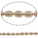 Riso coltivato in perla d'acqua dolce, perla d'acquadolce coltivata naturalmente, viola, grado A, 9-10mm, Foro:Appross. 0.8mm, Venduto per 14.7 pollice filo