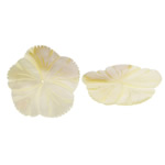 Φυσικό χάντρες κίτρινο Shell, Yellow Shell, Λουλούδι, 41x41x2mm, Τρύπα:Περίπου 1mm, 20PCs/Παρτίδα, Sold Με Παρτίδα