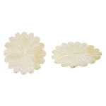 Natürliche weiße Muschelperlen, Blume, 40x40x2mm, Bohrung:ca. 1.5mm, 20PCs/Menge, verkauft von Menge