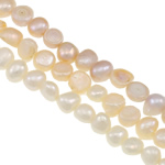Bulvių išauginti gėlavandenių perlų karoliukai, Gėlo vandens perlų, Bulvė, natūralus, Įvertinimas, 7-8mm, Skylė:Apytiksliai 0.8mm, Parduota už 16 Inch Strand
