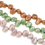 Baroko Kultūringas gėlavandenių perlų karoliukai, Gėlo vandens perlų, Barokas, mišrios spalvos, 5-6mm, Skylė:Apytiksliai 0.8mm, Ilgis Apytiksliai 15.7 Inch, Pardavė KG
