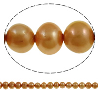 Brambor pěstované sladkovodní perle, Sladkovodní Pearl, oranžový, 7-8mm, Otvor:Cca 0.8mm, Prodáno za Cca 15.3 inch Strand
