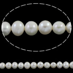 Brambor pěstované sladkovodní perle, Sladkovodní Pearl, přírodní, bílý, 6-8mm, Otvor:Cca 0.8mm, Prodáno za Cca 15.7 inch Strand