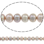 Mygtukas Kultūringas gėlavandenių perlų karoliukai, Gėlo vandens perlų, natūralus, purpurinis, 6-8mm, Skylė:Apytiksliai 0.8mm, Parduota už Apytiksliai 15.7 Inch Strand