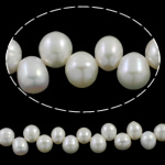 Ris odlad sötvattenspärla pärlor, Freshwater Pearl, naturlig, vit, 9-10mm, Hål:Ca 0.8mm, Såld Per Ca 15.7 inch Strand