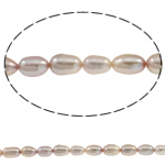 Cultured Rice Freshwater Pearl Beads natural purple 5-6mm Approx 0.8mm Sold Per Approx 15.7 Inch Strand