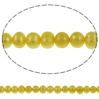 Bulvių išauginti gėlavandenių perlų karoliukai, Gėlo vandens perlų, Bulvė, geltonas, 7-8mm, Skylė:Apytiksliai 0.8mm, Parduota už Apytiksliai 14.7 Inch Strand