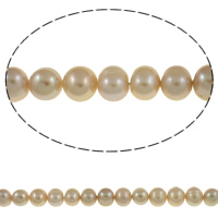 Brambor pěstované sladkovodní perle, Sladkovodní Pearl, přírodní, nachový, 9-10mm, Otvor:Cca 0.8mm, Prodáno za Cca 14.7 inch Strand