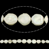Monetų Kultūringas gėlavandenių perlų karoliukai, Gėlo vandens perlų, Moneta, natūralus, baltas, 13-16mm, Skylė:Apytiksliai 0.8mm, Parduota už Apytiksliai 15 Inch Strand